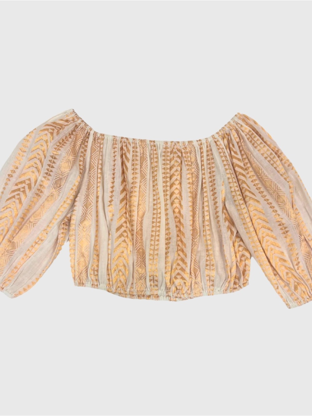 Ivory Gold Embroidered Crop Top